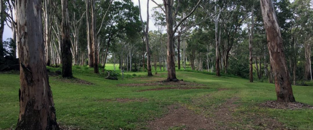 camp-ground10