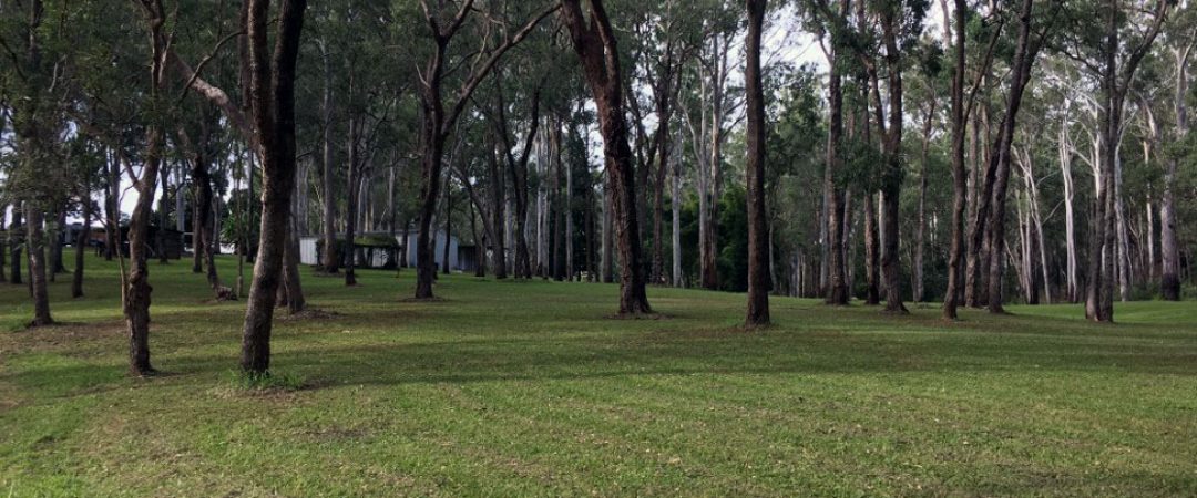 camp-ground5