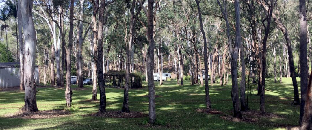 camp-ground8